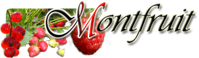 Montfruit