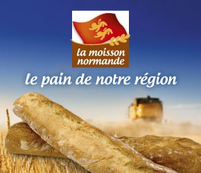 Baguette de tradition française La moisson Normande