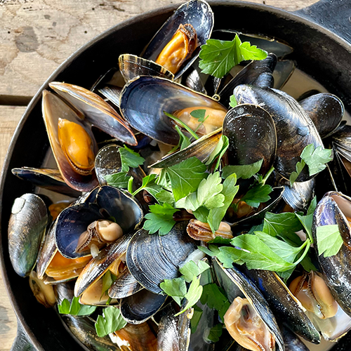 Fricassée de moules de bouchot, sauce crémée au cidre